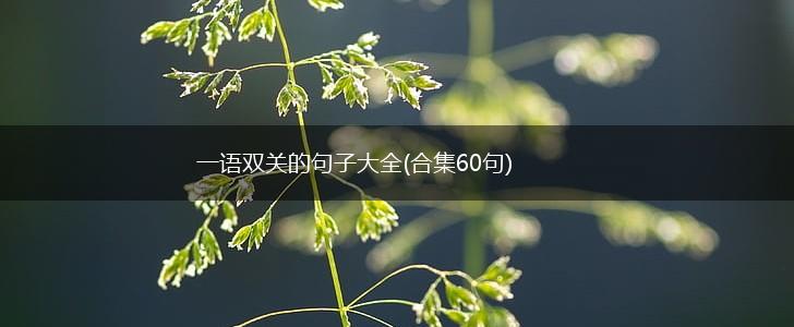 一语双关的句子大全(合集60句),第1张