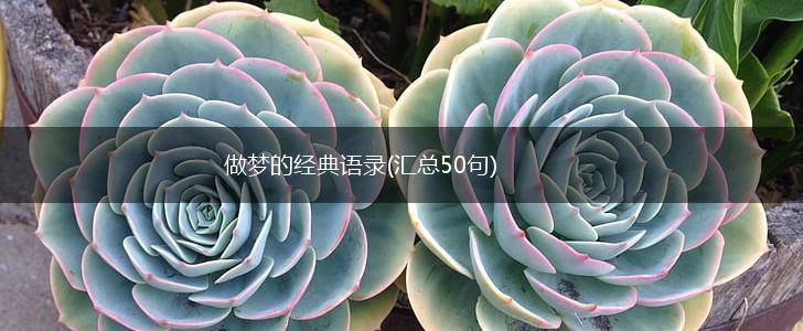 做梦的经典语录(汇总50句),第1张