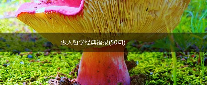 做人哲学经典语录(50句),第1张