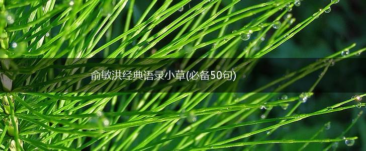 俞敏洪经典语录小草(必备50句),第1张