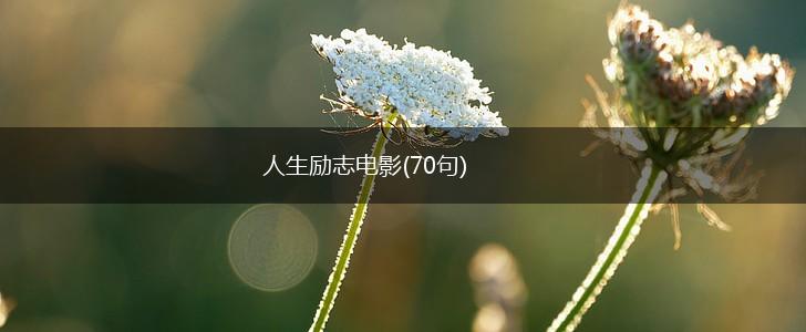 人生励志电影(70句),第1张
