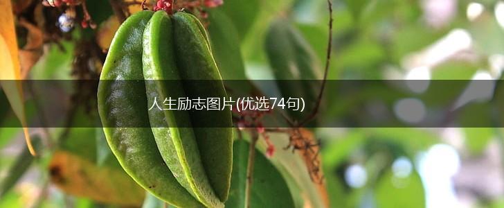 人生励志图片(优选74句),第1张