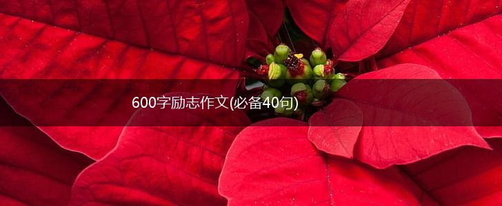 600字励志作文(必备40句),第1张