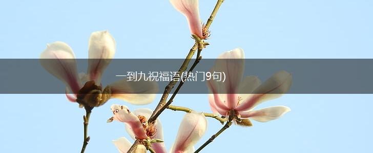一到九祝福语(热门9句),第1张
