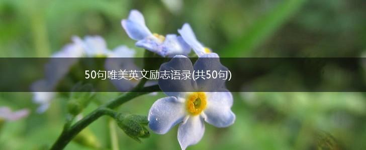 50句唯美英文励志语录(共50句),第1张