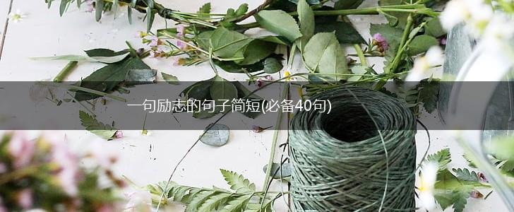 一句励志的句子简短(必备40句),第1张