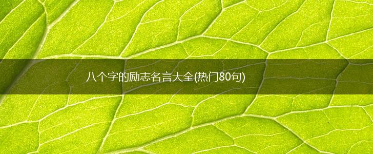 八个字的励志名言大全(热门80句),第1张