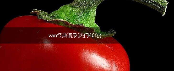van经典语录(热门40句),第1张