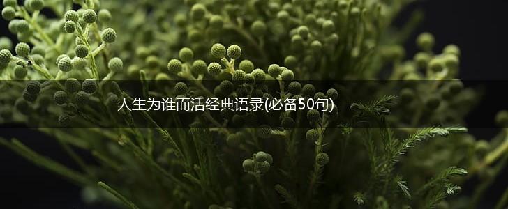 人生为谁而活经典语录(必备50句),第1张