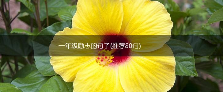一年级励志的句子(推荐80句),第1张