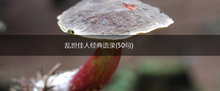 乱世佳人经典语录(50句),第1张