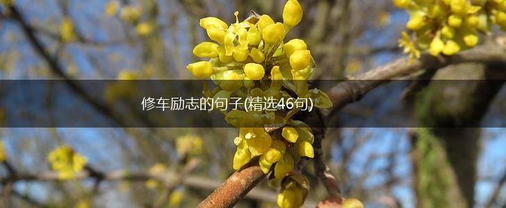 修车励志的句子(精选46句),第1张
