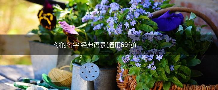 你的名字 经典语录(通用69句),第1张