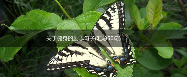 关于健身的励志句子(汇总50句),第1张