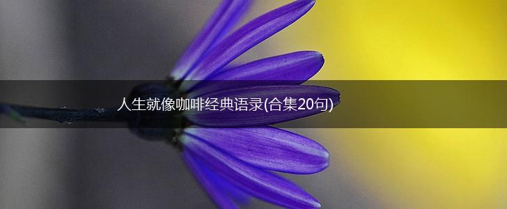 人生就像咖啡经典语录(合集20句),第1张