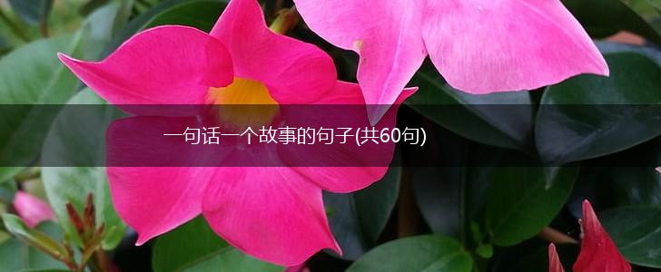 一句话一个故事的句子(共60句),第1张