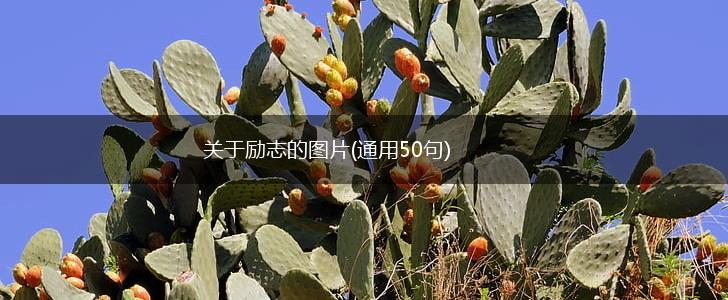 关于励志的图片(通用50句),第1张