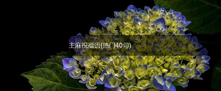 主麻祝福语(热门40句),第1张