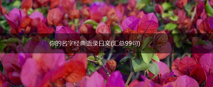 你的名字经典语录日文(汇总99句),第1张