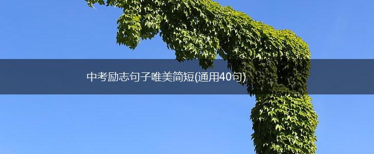 中考励志句子唯美简短(通用40句),第1张