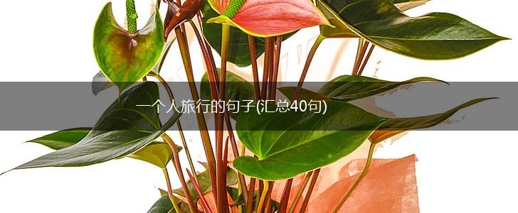 一个人旅行的句子(汇总40句),第1张