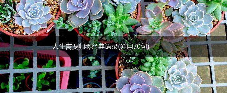 人生需要归零经典语录(通用70句),第1张