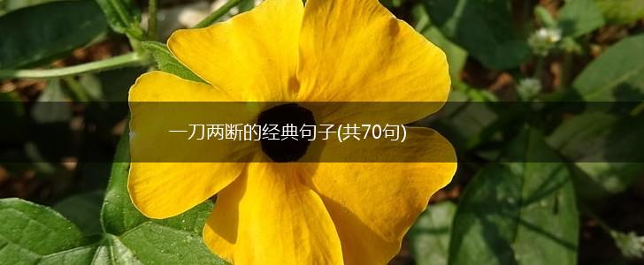 一刀两断的经典句子(共70句),第1张