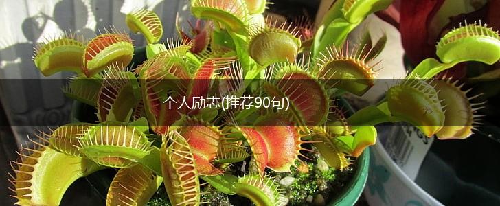 个人励志(推荐90句),第1张