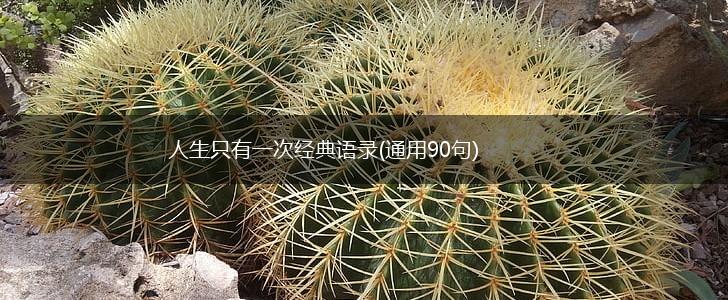 人生只有一次经典语录(通用90句),第1张