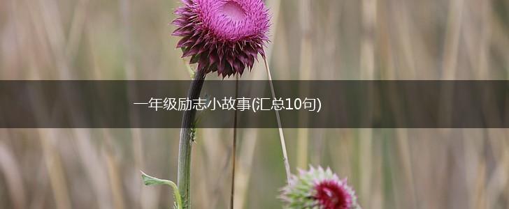 一年级励志小故事(汇总10句),第1张