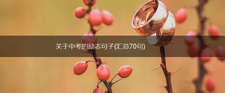 关于中考的励志句子(汇总70句),第1张