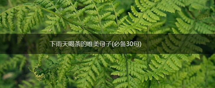 下雨天喝茶的唯美句子(必备30句),第1张
