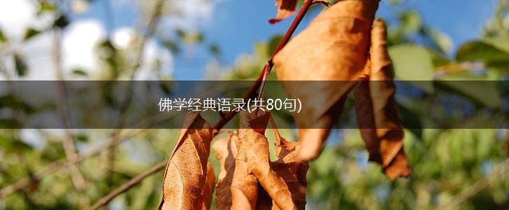 佛学经典语录(共80句),第1张