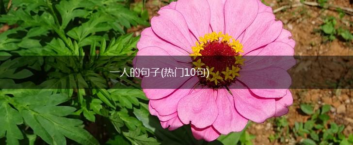 一人的句子(热门10句),第1张