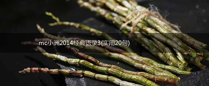 mc小洲2014经典语录3(实用20句),第1张