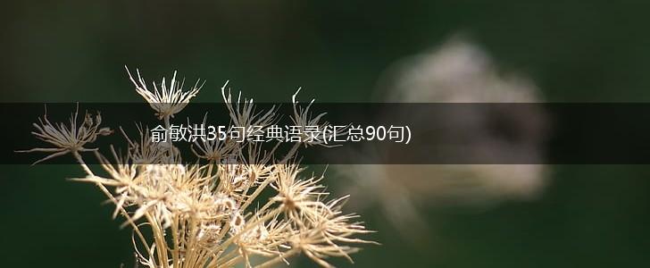 俞敏洪35句经典语录(汇总90句),第1张