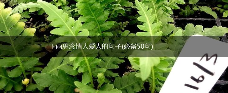 下雨思念情人爱人的句子(必备50句),第1张