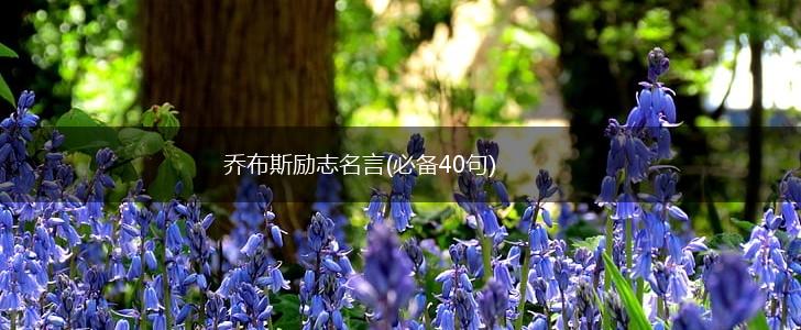 乔布斯励志名言(必备40句),第1张