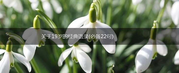 关于19岁的经典语录(必备22句),第1张