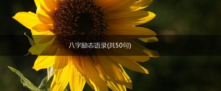 八字励志语录(共50句),第1张