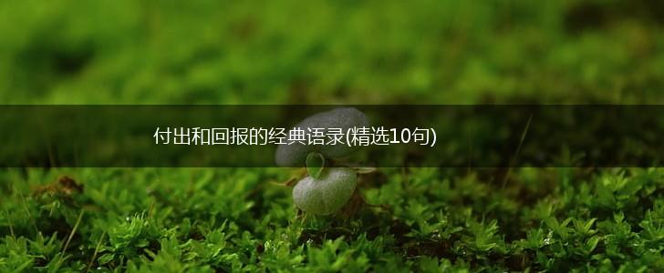 付出和回报的经典语录(精选10句),第1张