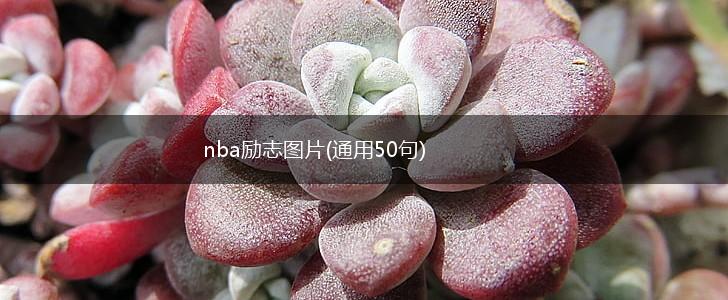 nba励志图片(通用50句),第1张