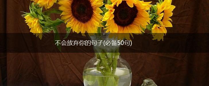 不会放弃你的句子(必备50句),第1张