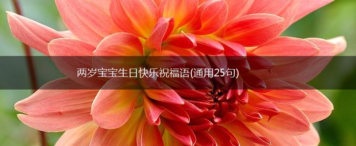 两岁宝宝生日快乐祝福语(通用25句),第1张