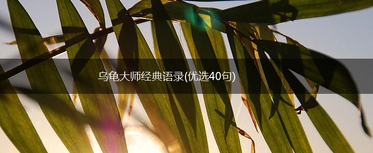 乌龟大师经典语录(优选40句),第1张