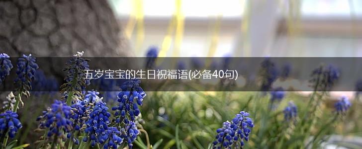 五岁宝宝的生日祝福语(必备40句),第1张