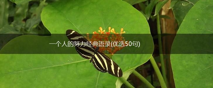 一个人的努力经典语录(优选50句),第1张