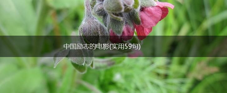 中国励志的电影(实用59句),第1张