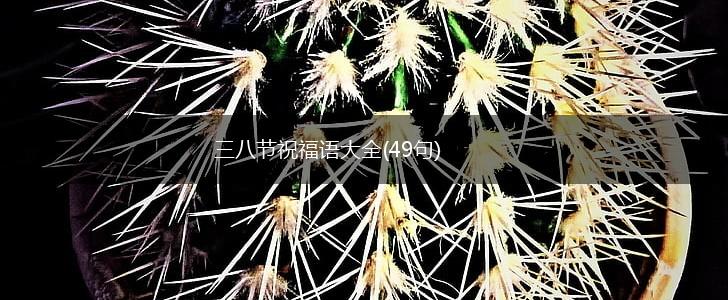 三八节祝福语大全(49句),第1张