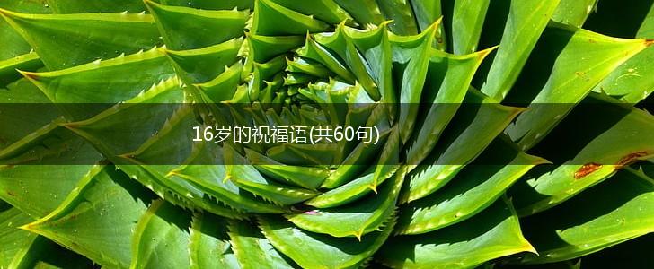 16岁的祝福语(共60句),第1张